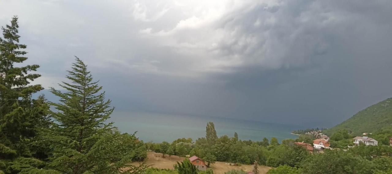 Villa Karolina Ohrid Exterior photo
