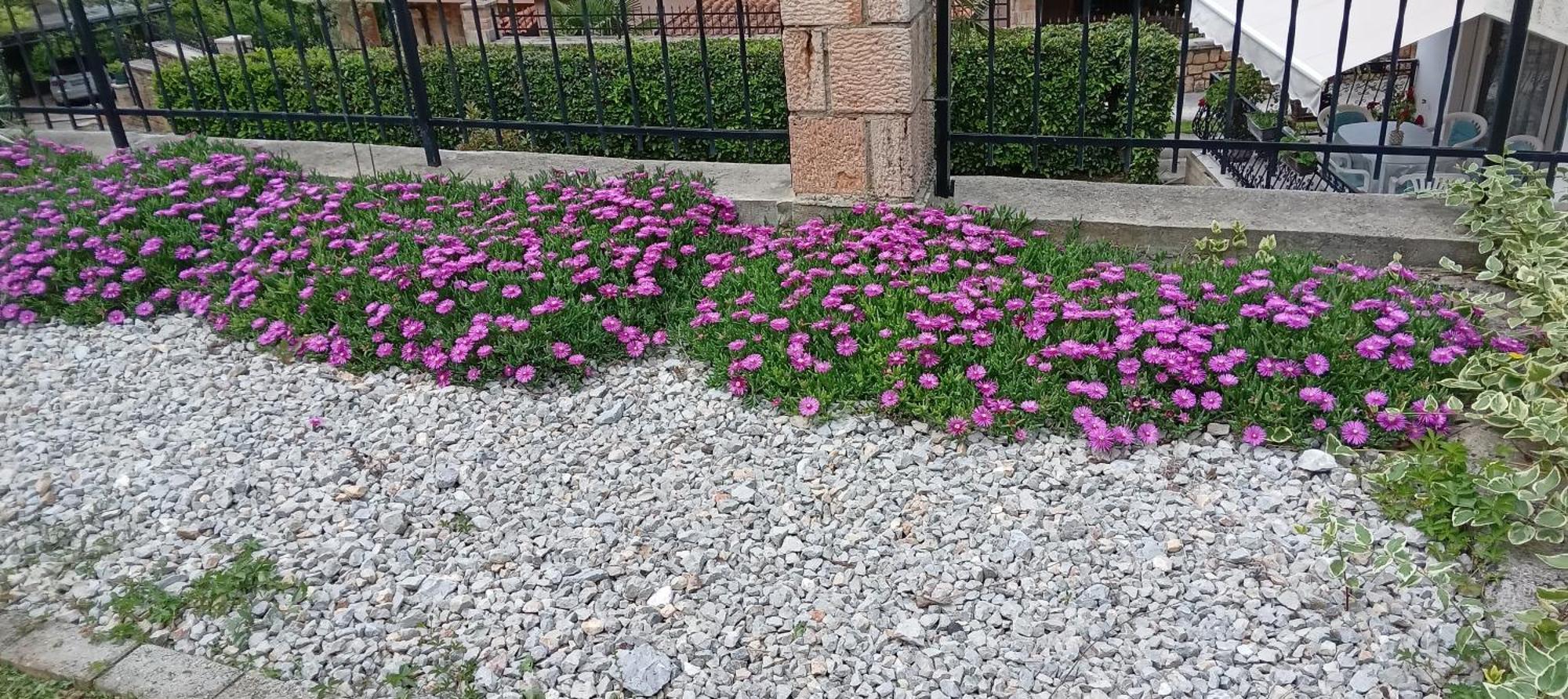 Villa Karolina Ohrid Exterior photo